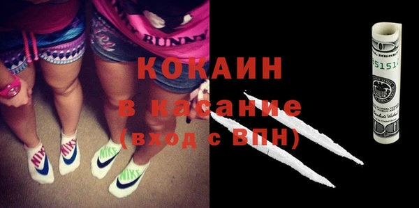 шишки Гусиноозёрск