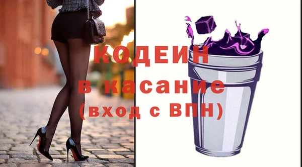 шишки Гусиноозёрск