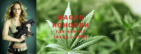 шишки Гусиноозёрск