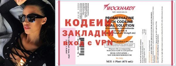 дурь Гусев