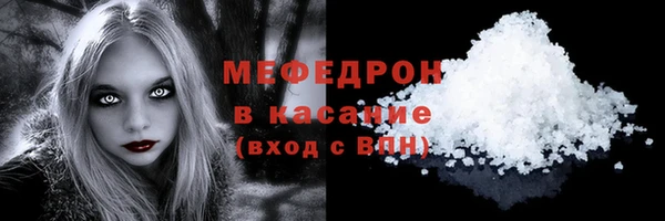 шишки Гусиноозёрск
