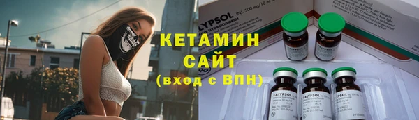 шишки Гусиноозёрск