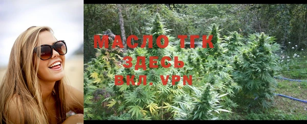 шишки Гусиноозёрск