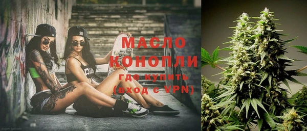 шишки Гусиноозёрск