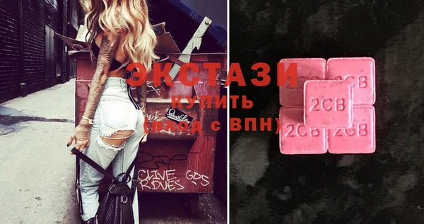 шишки Гусиноозёрск