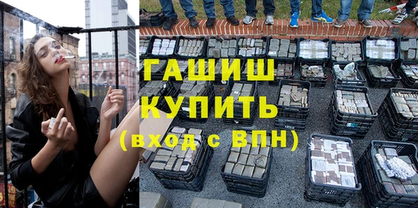 шишки Гусиноозёрск