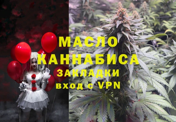 дурь Гусев