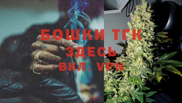 дурь Гусев