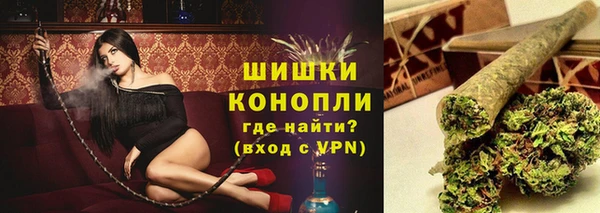 дурь Гусев