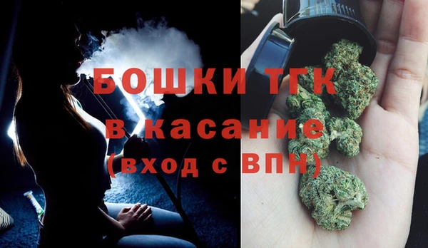 шишки Гусиноозёрск